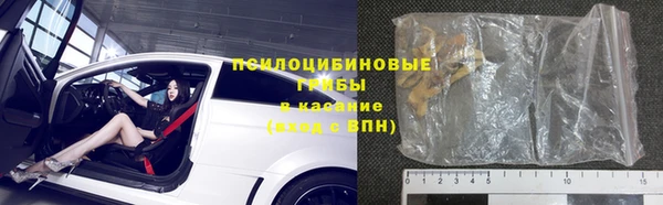 ГАЛЛЮЦИНОГЕННЫЕ ГРИБЫ Гусев