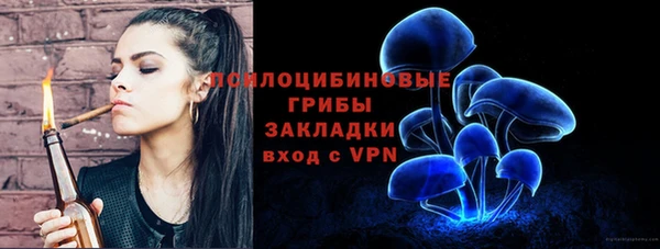 спиды Гусиноозёрск