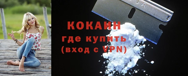 ГАЛЛЮЦИНОГЕННЫЕ ГРИБЫ Гусев
