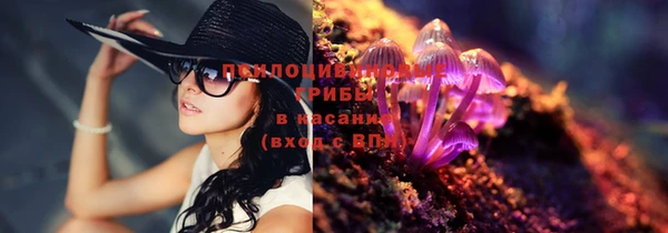спиды Горно-Алтайск