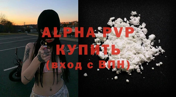 спиды Горно-Алтайск