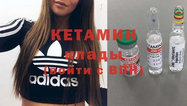 ГАЛЛЮЦИНОГЕННЫЕ ГРИБЫ Гусев