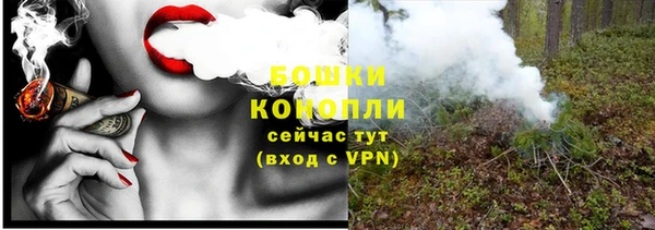 мдпв Горнозаводск