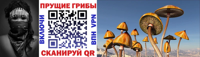 даркнет сайт  Ефремов  Псилоцибиновые грибы прущие грибы 