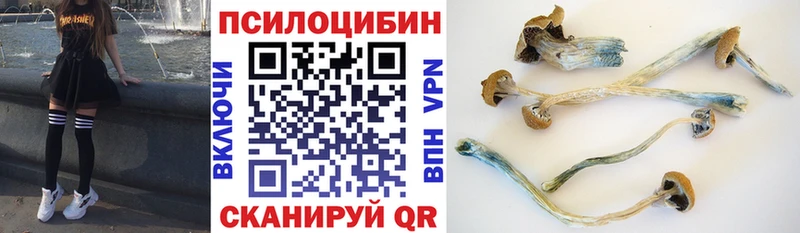 Галлюциногенные грибы ЛСД Ефремов